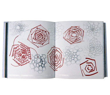 Studies of growth patterns in flowers studies of growth patterns in flowers