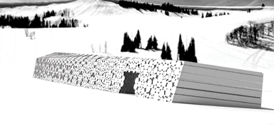 The log cabin project