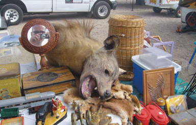 A Cape Town flea market