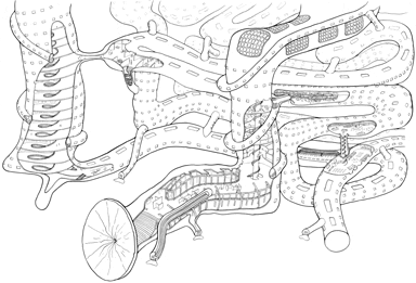 The Museogestor, which takes the form of a digestive system 