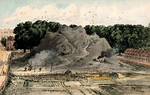 dirt
