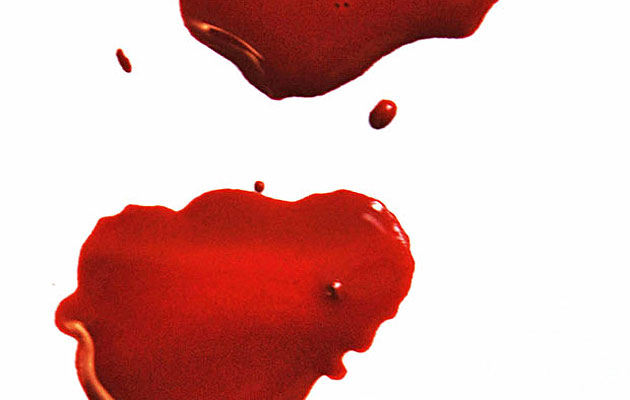 icon088-essay-blood-main