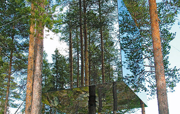 icon093-treetop-main