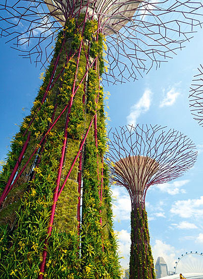icon103-garden-small