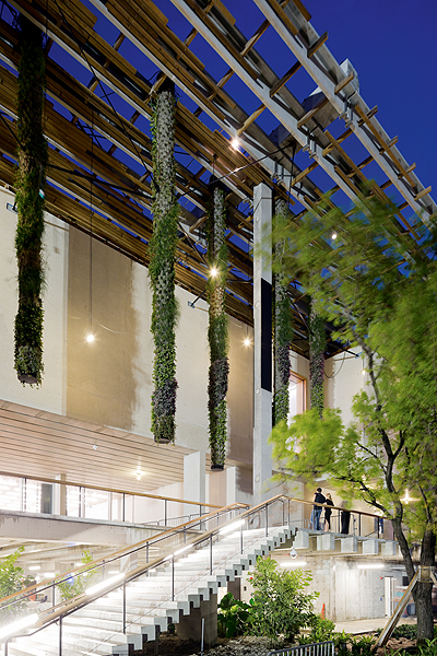 Pérez Art Museum, Miami, by Herzog & de Meuron - ICON Magazine