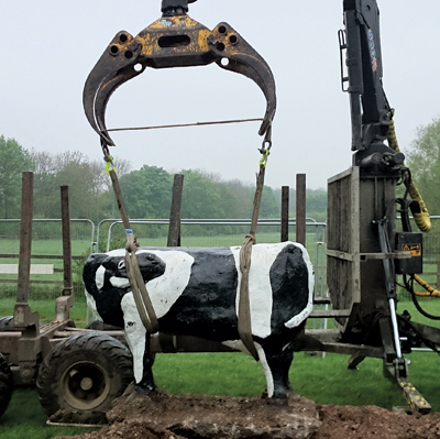 cows 2
