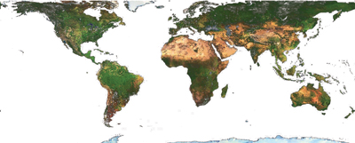 A map of urban and rural land from Rem Koolhaas's essay on the countryside for Icon