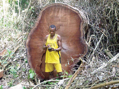 A man in front of a tree in Rem Koolhaas' essay on architecture and the countryside