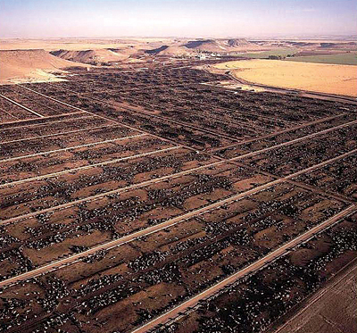 A vista showing the scale of farmland