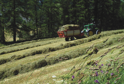 A countryside scene from Rem Koolhaas' essay for Icon