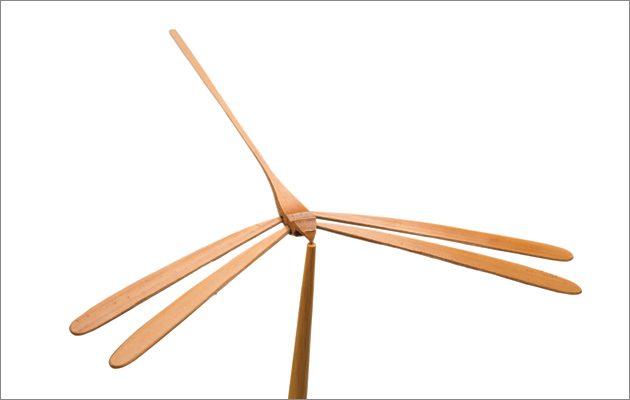 dragon fly