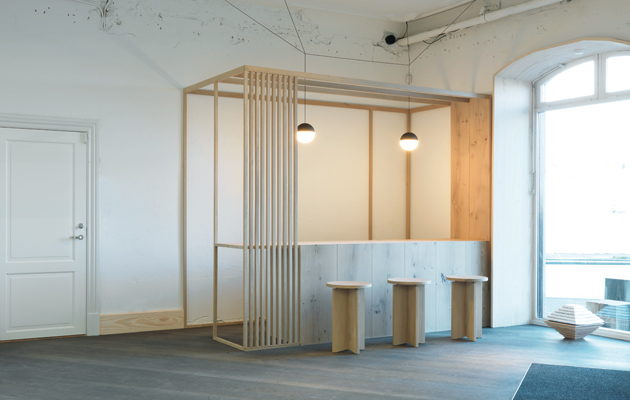 dinesen 2