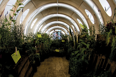 Gomez 3