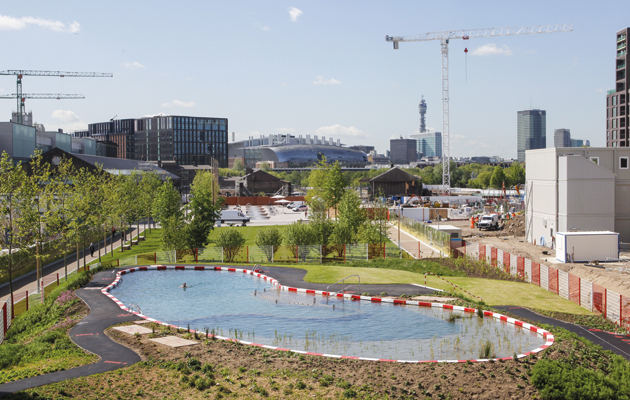 Pond 1