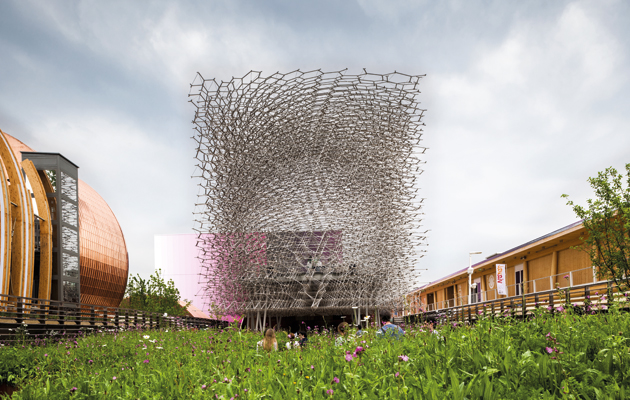 Expo 5