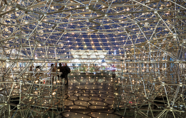 Expo 6