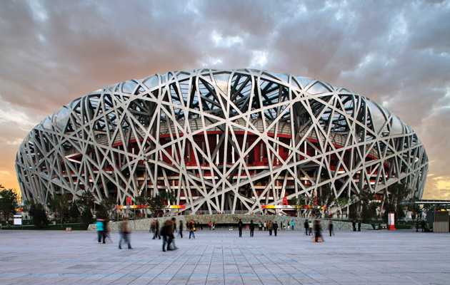 birdsnest