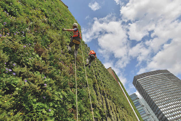LivingWall 002