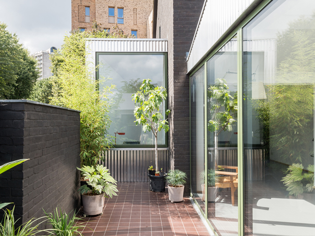 Stego by Archmongers