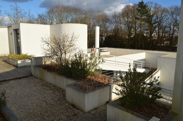 Villa Savoye roof garden