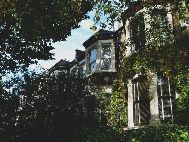 luiza giannelli OMgmZUezA7s unsplash