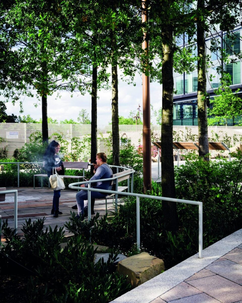 Head to Head: local architects vs starchitects