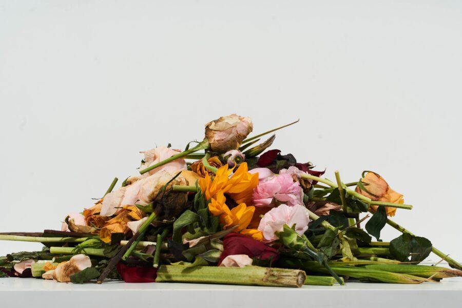 Irene Purasachit flower waste