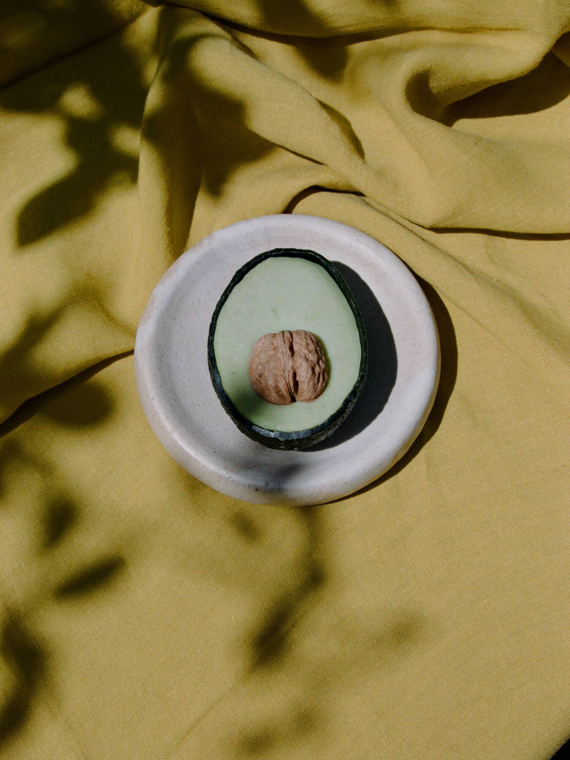 Arina Shokouhi ecovado