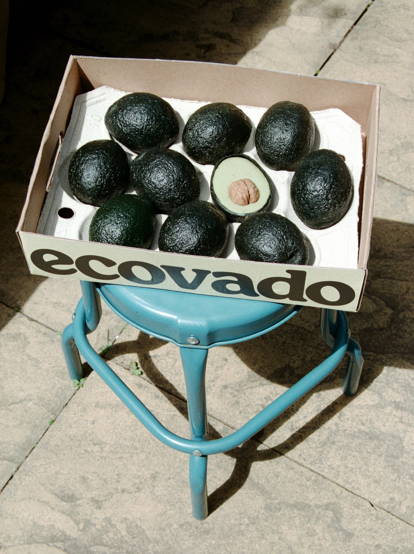 Arina Shokouhi ecovado