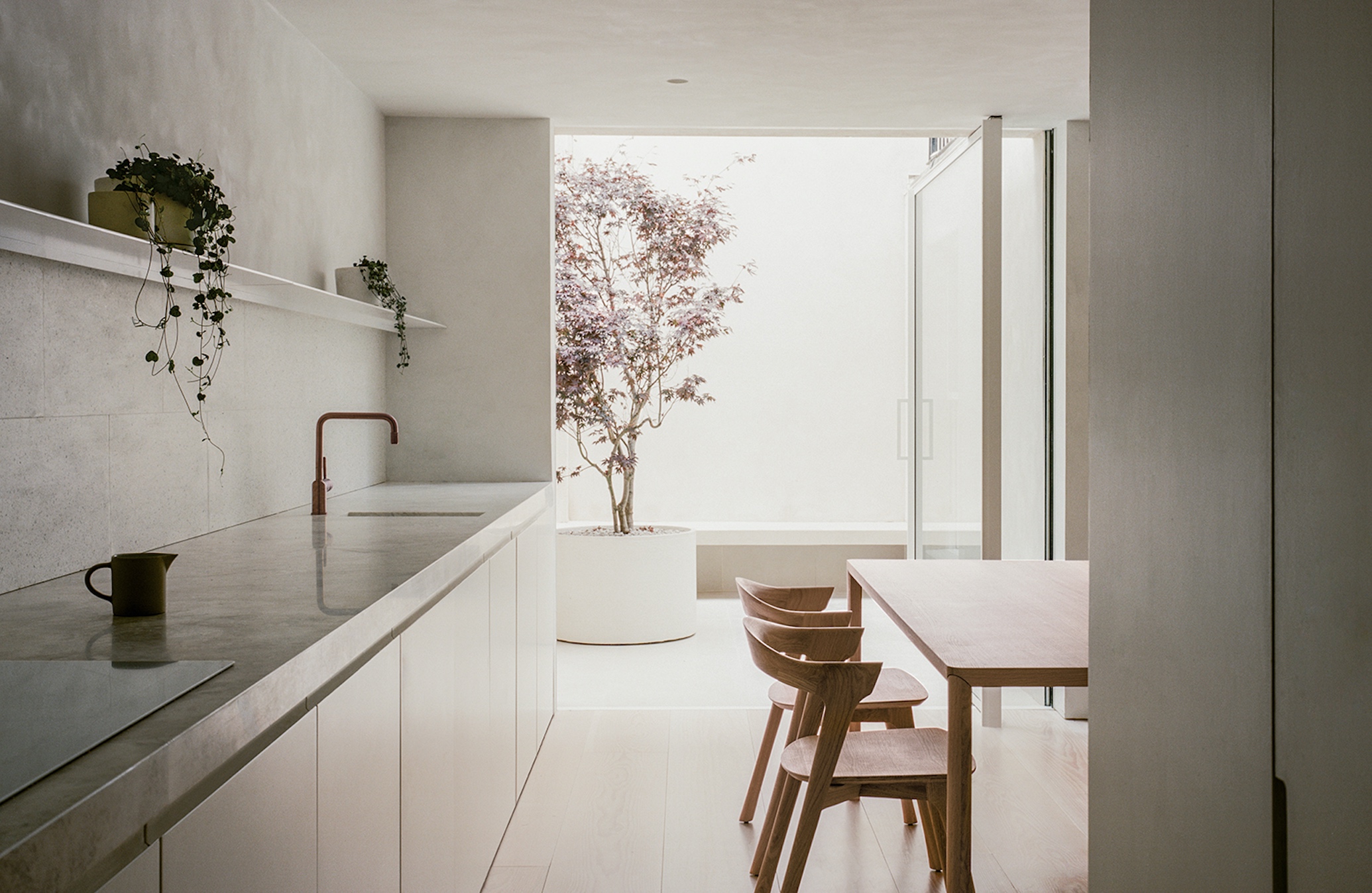 Trewhela Williams London house mews minimalism kitchen