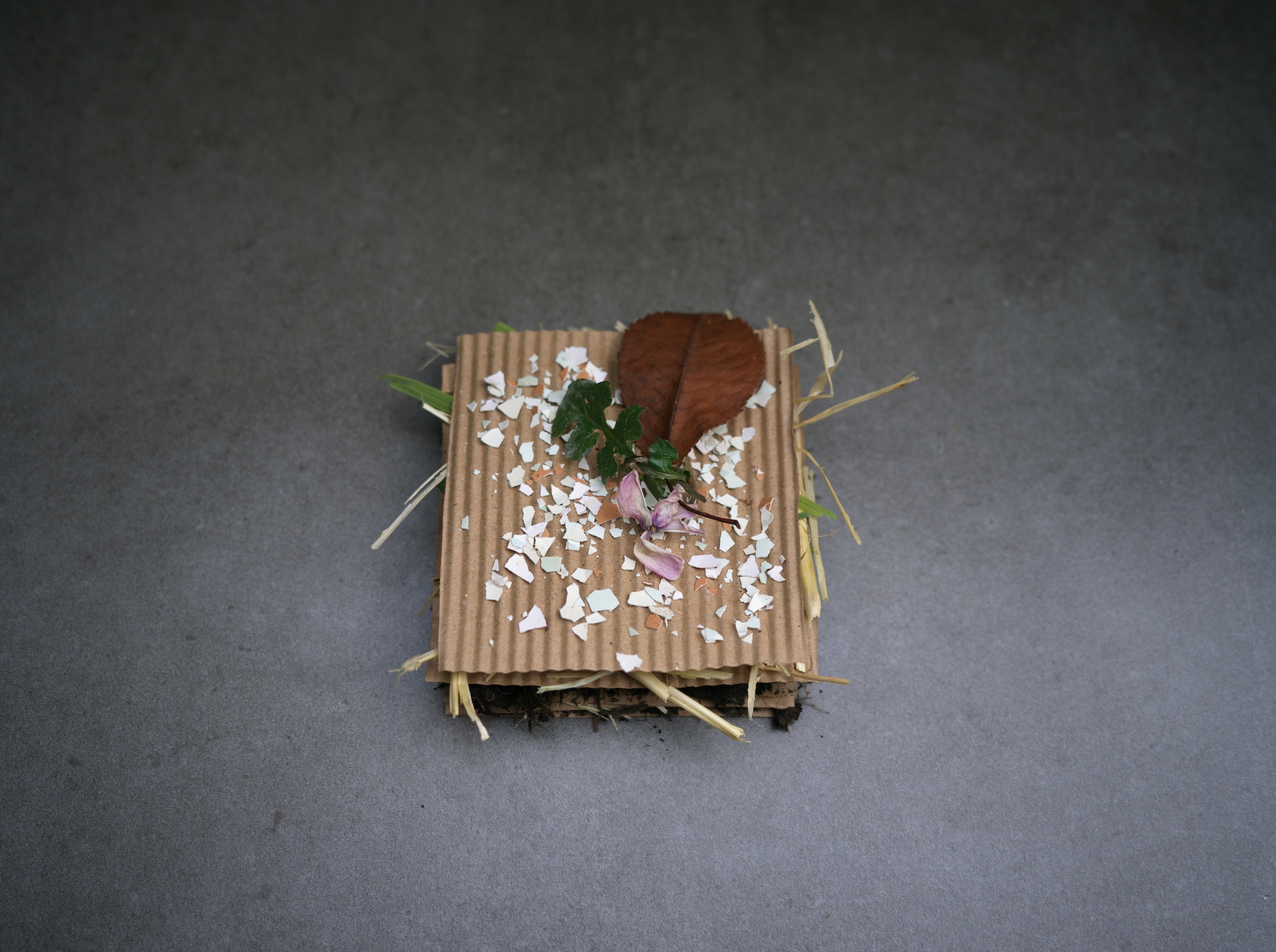 Arina Shokouhi cookbook Soil