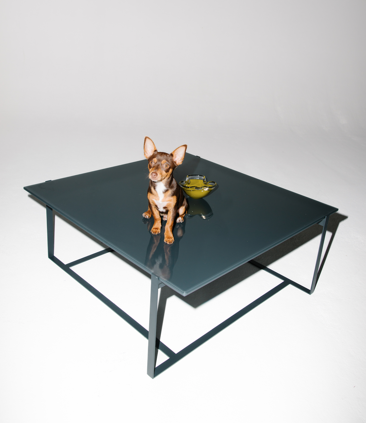 Deka table dog