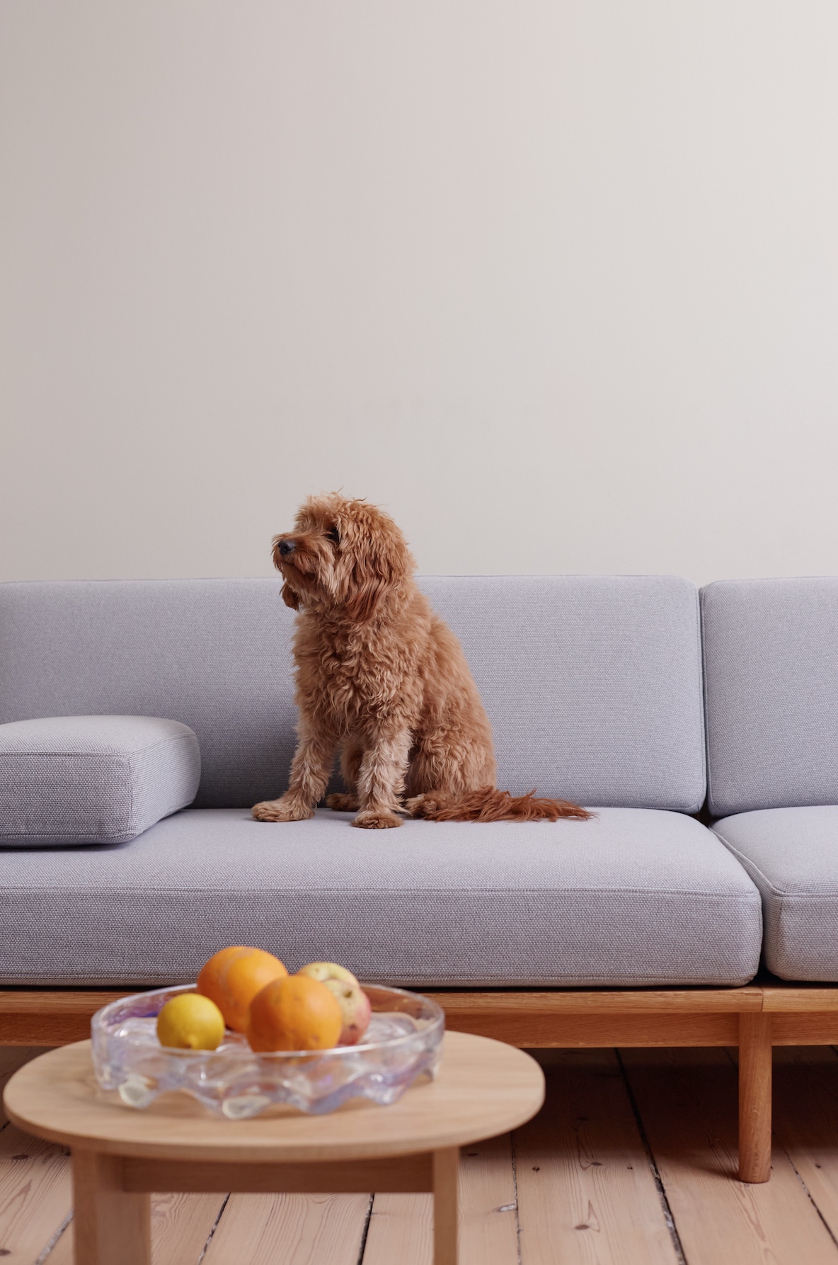Spoke Sofa TAKT dog