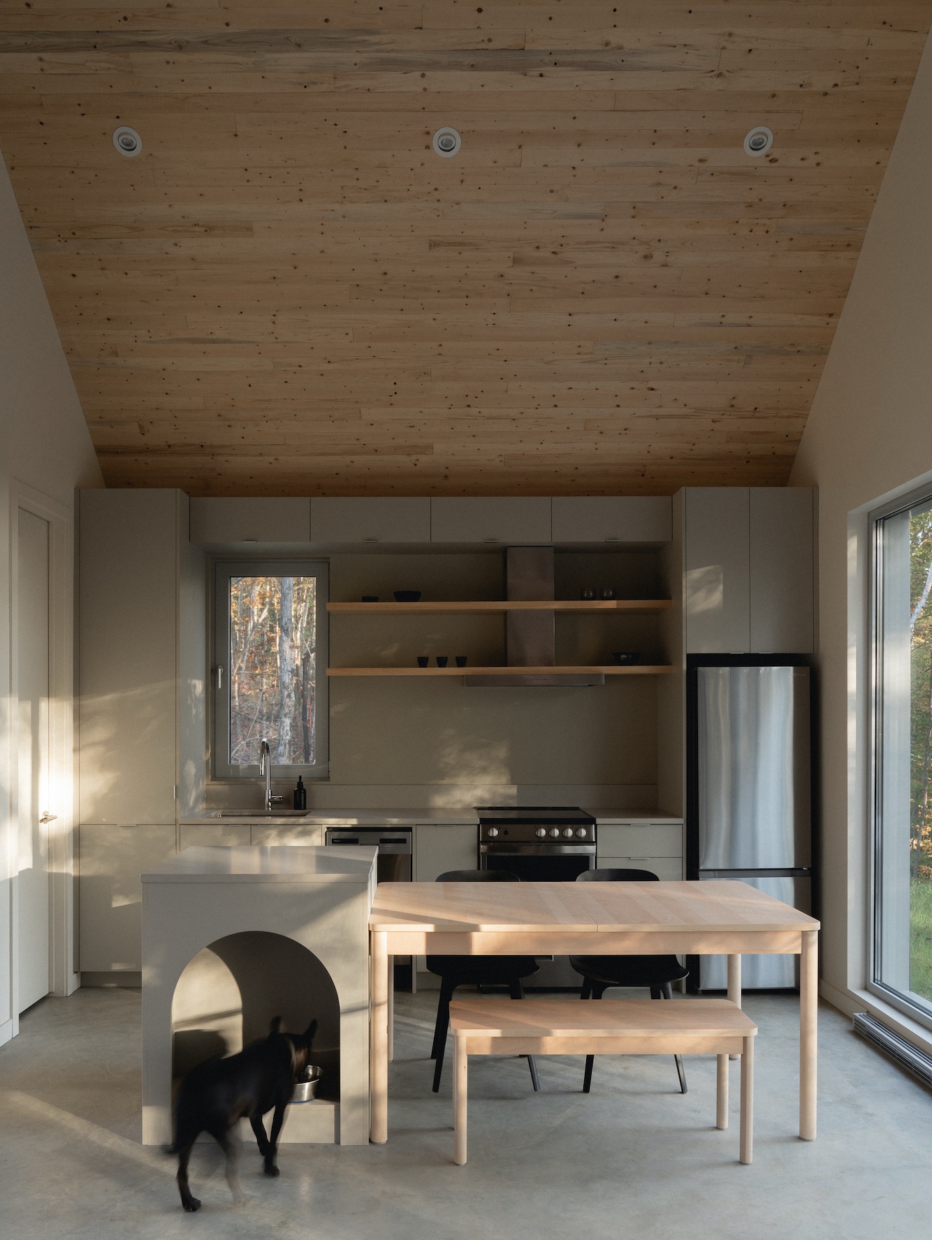Kanata Cabin minimalist interior dog eating from bowl wooden ceiling